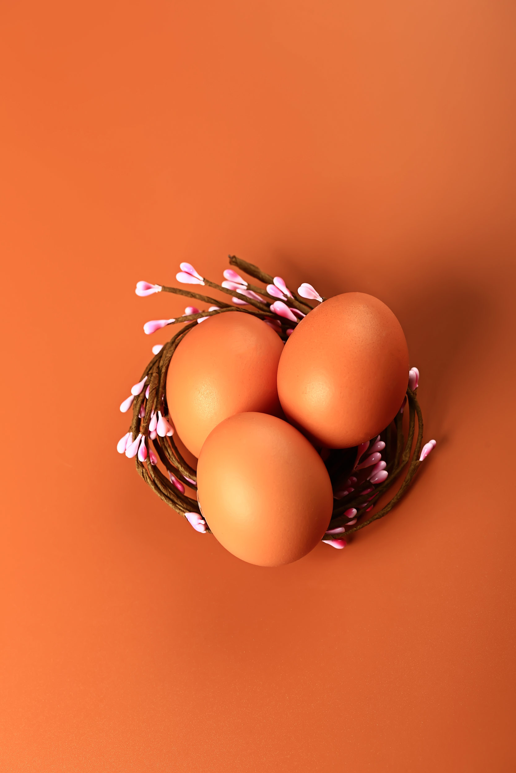 chicken-eggs-in-a-nest-on-a-beige-background-mini-2022-02-15-23-53-58-utc.jpg