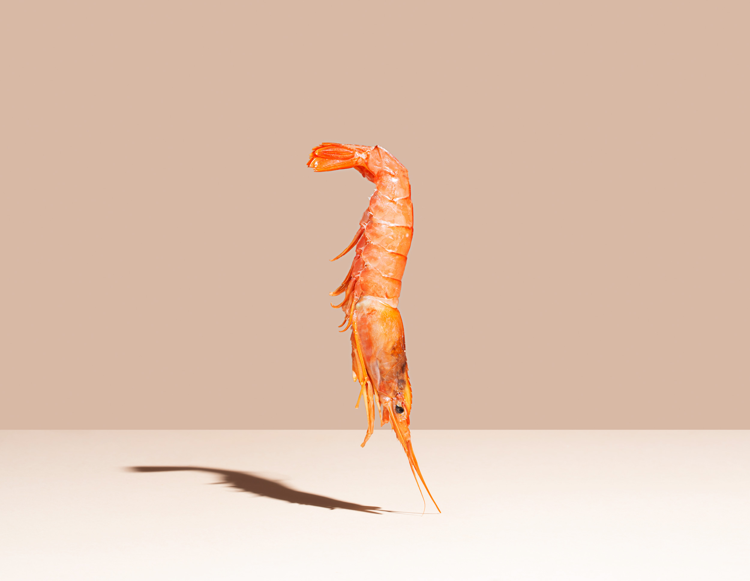 red-shrimp-on-beige-background-minimalistic-conce-2021-08-30-00-04-41-utc.jpg