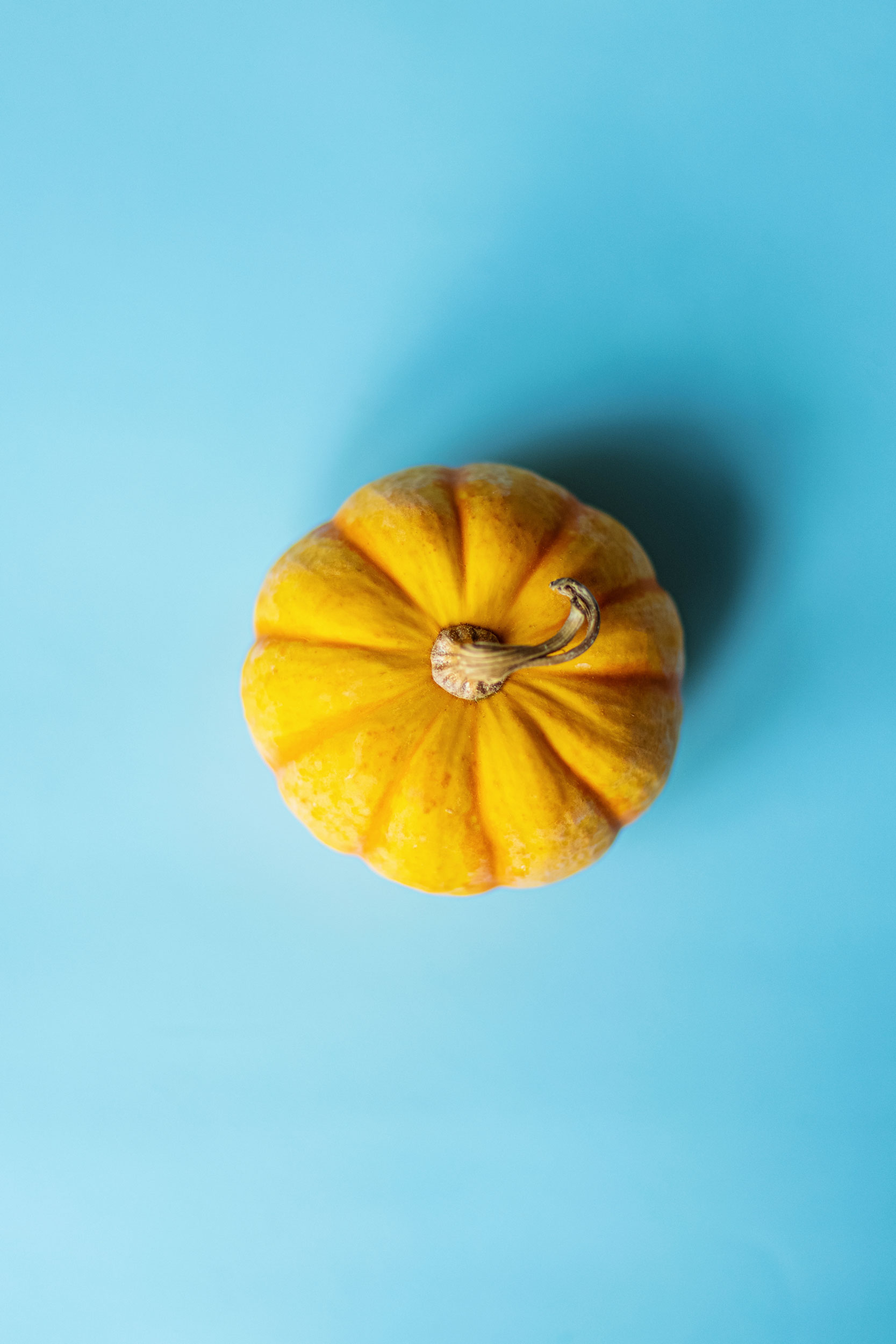 simple-pops-of-color-orange-pumpkin-lying-on-blue-2021-09-03-06-24-05-utc.jpg
